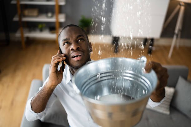 Best Local water damage restoration  in Greenwood, AR