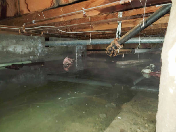 Water damage restoration experts in AR