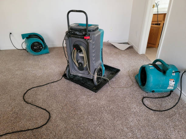  Greenwood, AR Water damage restoration Pros