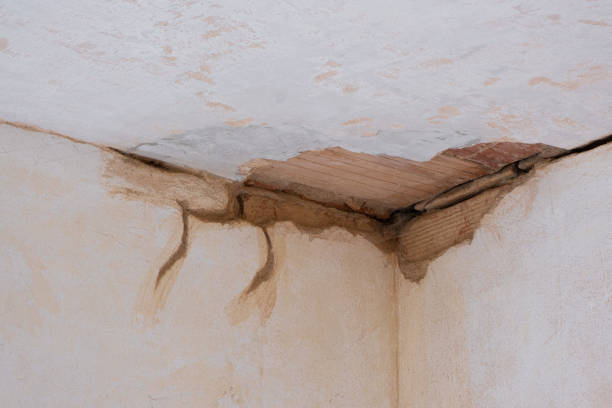 Best 24/7 water damage repair  in Greenwood, AR