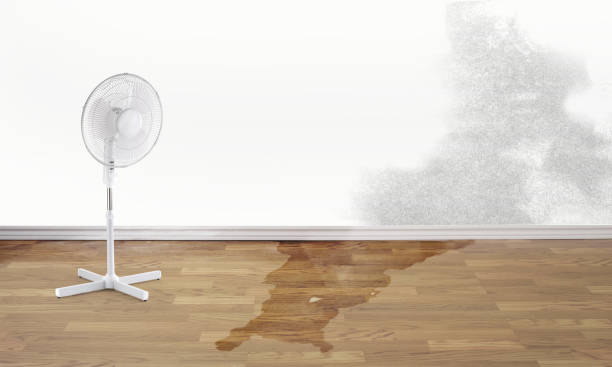 Best Emergency water damage restoration  in Greenwood, AR