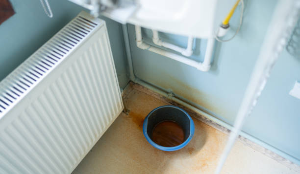 Best Mold removal after water damage  in Greenwood, AR