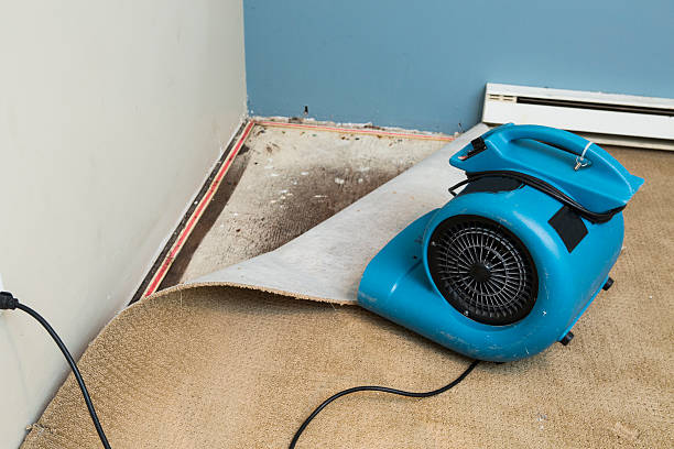 Best Water damage restoration near me  in Greenwood, AR